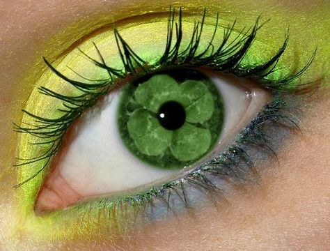 Irish eyes~the luck of the Irish Eye Makeup Colorful, Eyes Without A Face, Makeup Colorful, Trendy Eyeshadow, Irish Eyes Are Smiling, Irish Eyes, Look Into My Eyes, Eye Photography, Luck Of The Irish