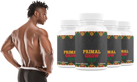 Primal Grow Pro Review: Unveiling the Power of Natural Enhancement - Bloglabcity.com Home Doctor, Testosterone Levels, Male Enhancement, Blood Flow, Side Effects, The Incredibles, Health, Design