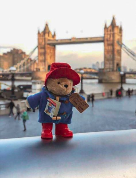 Paddington Wallpaper Iphone, Paddington Bear London, Paddington Bear Aesthetic, Pattington Bear, Paddington Bear Wallpaper, Paddington Wallpaper, Paddington Aesthetic, Oso Paddington, London Paddington