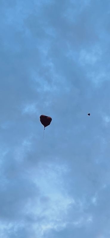 heart balloons floating during harry styles wembley show wallpaper inspo Matilda Heart Balloon, Heart Balloon Wallpaper, Harry Styles Wembley, Balloon Wallpaper, Heart Balloons, Pretty Men, Matilda, Harry Styles, Floating