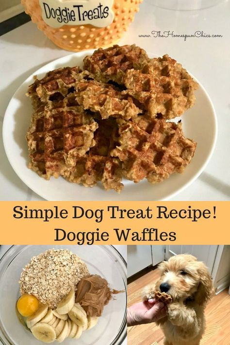 Doggie Waffles, Homemade Dog Cookies, Pet Treats Recipes, Easy Dog Treat Recipes, Dog Treat Recipe, Dog Biscuit Recipes, Easy Dog Treats, Healthy Dog Treats Homemade, Dog Treats Homemade Recipes