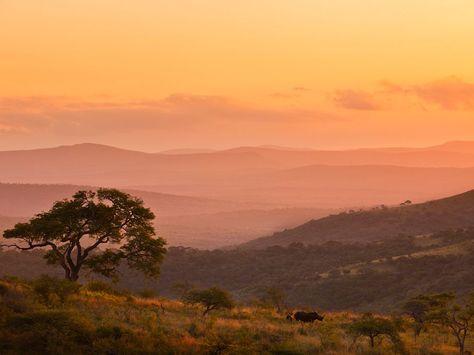 South Africa Photography Bucket List, African Skies, African Sunset, Africa Do Sul, Kwazulu Natal, Out Of Africa, Rhinos, National Geographic Photos, Dream Vacations