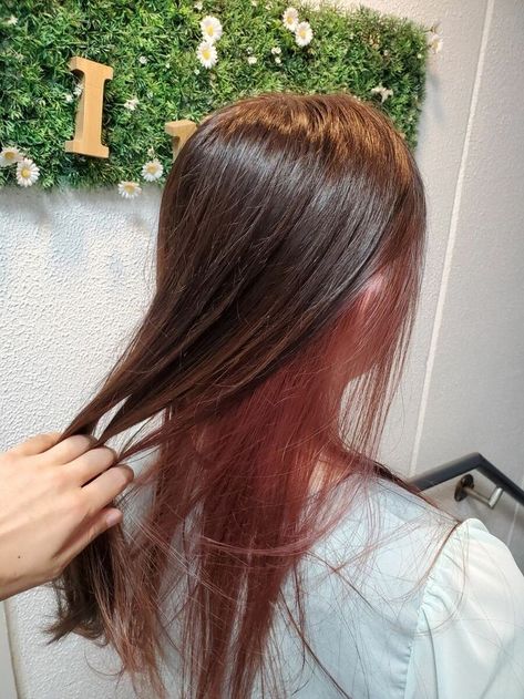 Subtle Dyed Hair Brunettes, Underdye Hair Brown, Hair Dye Burgundy, Pink Underdye Hair, Dye Brown Hair, Light Burgundy Hair, Hair Dye Brown, Pink Underneath Hair, Pink Peekaboo Hair