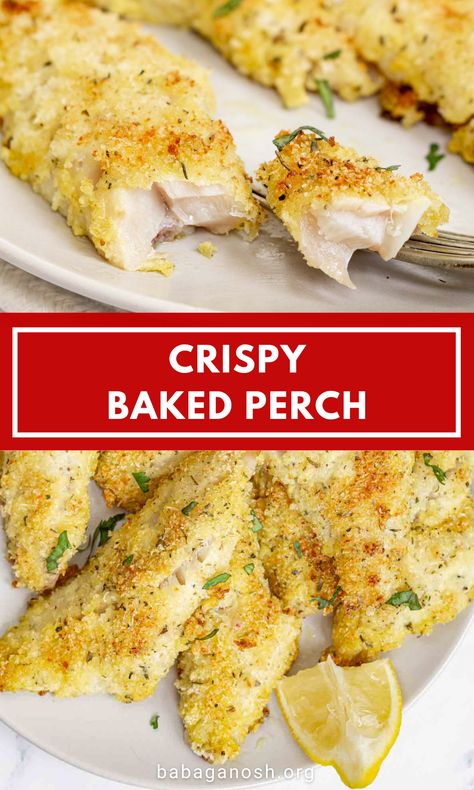 Crusted Baked Fish, Perch Fillets Recipes, Breaded Perch Recipe, Ocean Perch Recipes Baked, Crispy Baked Fish Recipes, Breaded Fish In Oven, Healthy Perch Fish Recipes, Perch In Air Fryer, Ocean Perch Fillet Recipes Air Fryer