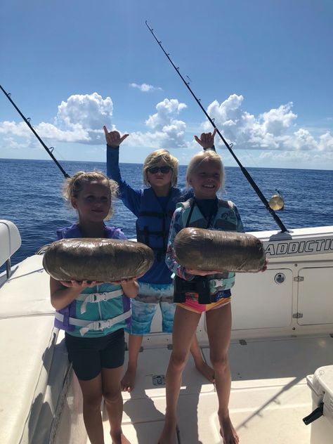 SEA ‘WEED’: Florida Keys fishermen catch a dozen bundles of pot Florida Meme, Kids Fishing, Going Fishing, Fishing Humor, Hysterically Funny, Bones Funny, New Memes, Funny Cute, Funny Images