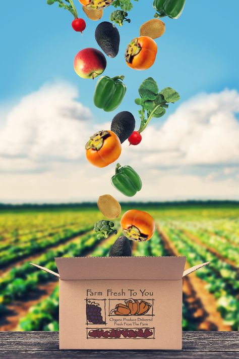 Keep your oven off in the heat of summer. No cooking required with our light and fresh produce! Farm Fresh to You brings your favorite fruits and veggies straight to your door. And it's local, so you know it's fresh. Farm Poster, Produce Farm, Grocery Flyer, Vegetable Delivery, Grocery Delivery App, Vegetable Packaging, Fruit Farm, Vegetable Shop, Grocery Store Design