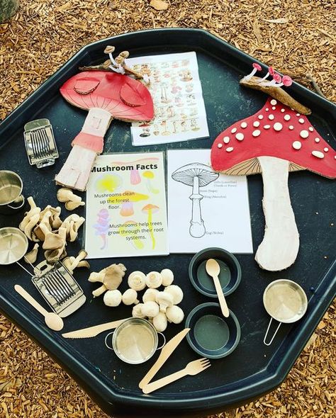 Mushroom Sensory Bin, Mushroom Activities For Toddlers, Mushroom Preschool Activities, Mushroom Kindergarten Activities, Mushrooms Activities For Kids, Mushroom Kindergarten, Mushroom Activities For Kids, Mushroom Activity, Mushroom Montessori Activities