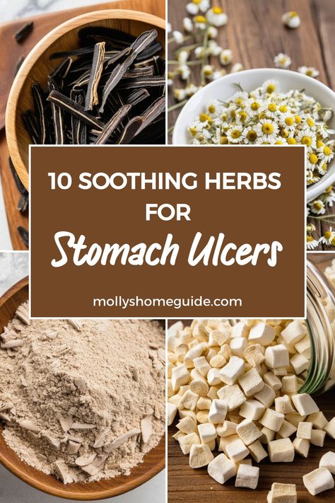 Discover the power of herbal remedies for stomach ulcers with these natural ulcer remedies. Incorporate healing foods like slippery elm and gotu kola into your stomach ulcer diet to support digestive health. These plants not only provide relief but also offer anti-inflammatory properties, making them the best herbs for gut health. Explore the benefits of herbs for stomach ulcers and enhance your well-being with these healing herbs that promote gastric ulcer healing and overall digestive wellness Herbs To Heal Stomach Ulcers, Juice For Stomach Ulcers, Gut Healing Tea, Smoothies For Stomach Ulcers, Herbs For Stomach Ulcers, Gut Healing Herbs, Ulcerative Diet, Mouth Ulcer Remedies, Ulcer Diet Meals