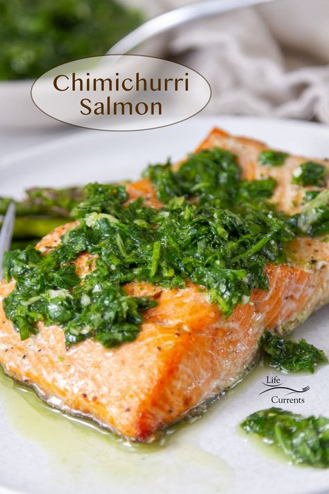 Chimichurri Fish Recipe, Salmon With Chimichurri Sauce, Chimichurri Fish, Salmon And Chimichurri, Chimichurri Salmon, Low Calorie Salmon Recipes Air Fryer, Air Fryer Salmon, Chimichurri Recipe, Healthy Low Carb