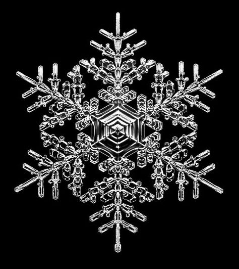 Surrealism Fashion, Snowflake Photography, Snowflake Bentley, Snow Flake Tattoo, Snowflake Images, Snowflakes Drawing, Snowflake Photos, Tattoo Outline Drawing, Desktop Background Pictures