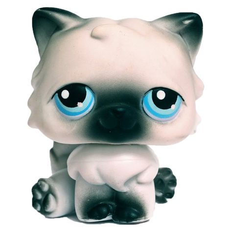 Lps Cats, Lps Toys, Lps Pets, Lps Littlest Pet Shop, Best Kids Toys, Persian Cat, Plastic Animals, Littlest Pet Shop, Lps