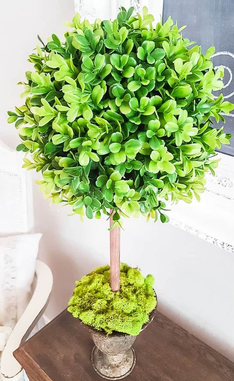 Topiary Decor, Diy Topiary, Winter Container Gardening, Wood Box Centerpiece, Topiary Diy, Deco Mesh Crafts, Boxwood Balls, Nifty Crafts, Garden Baby Showers