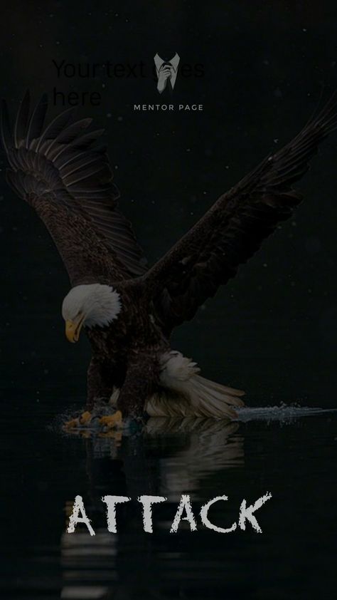 Wildlife wallpaper,eagle wallpaper,motivation Black Eagle Wallpaper, Eagle Motivation, Wallpaper Eagle, Eagle Quotes, Eagles Quotes, Bob Marley Legend, Wildlife Wallpaper, Wild Animal Wallpaper, Eagle Wallpaper