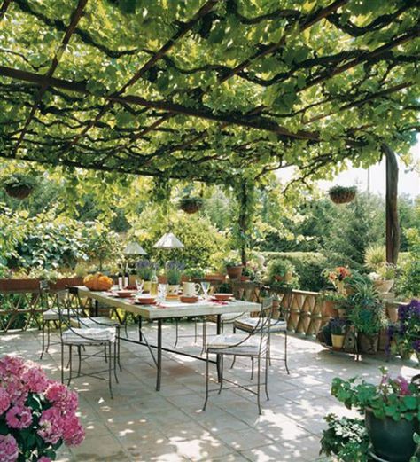 Patio Shade Covers, Ombra Pergola, Patio Trellis, Design Per Patio, Vine Ideas, Backyard Shade, Patio Pergola, Garden Vines, Pergola Ideas