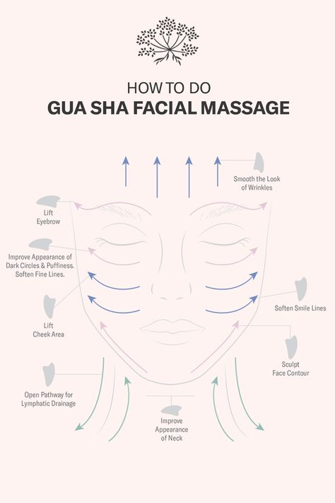 Where To Gua Sha Your Face, How To Do A Facial Massage, Ice Roller And Gua Sha, Gua Sha Face Map, Benefits Of Guasha, Gua Sha Technique Printable, Gua Sha Butterfly, Gua Sha Diagram, How To Do A Face Massage