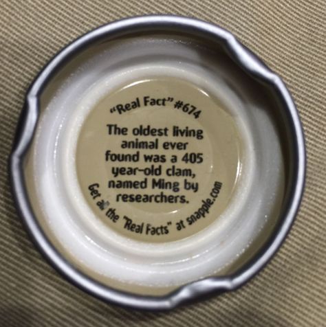 Snapple Fact Snapple Facts, Greenland Shark, Freezing Water, Trivia Time, Dreamy Destinations, Useless Knowledge, Pet Sounds, Mind Blowing Facts, Pet Advice