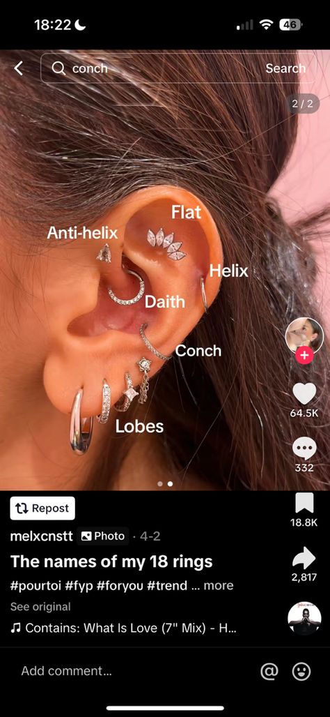 Eat Peircings Women Chart, Peircings Women Chart, Eat Peircings Women, Ear Piercings With Industrial, Double Industrial Piercing, Different Ear Piercings Chart, Peircings Name Chart, Peircings Women, Eat Piercing