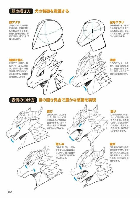 Dragonborn Face Reference, Dragonborn Body Reference, Dragonborn Dnd Drawing Base, Dragon Horns Drawing Reference, Anthro Drawing Tutorial, Dragonborn Drawing Base, Drawing Dragonborn, Dragon Fursona Base, Dragonborn Drawing Reference