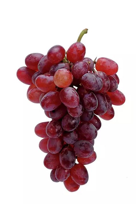 Sweet and spicy Canadice grapes can grow in most soil types, and like other grape vines,... Soil Types, Healthy Garden, Types Of Soil, Sweet And Spicy, How To Grow, Grape Vines, Culture Art, To Grow, Soil