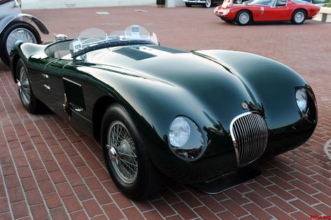 1000+ ideas about Jaguar C Type on Pinterest | Oldtimer, Bmw 507 roadster and Porsche 550 Jaguar C Type, Classic Jaguar, Jaguar Type, Jaguar Cars, British Sports Cars, Jaguar Xk, Jaguar Car, Jaguar E, Classic Sports Cars