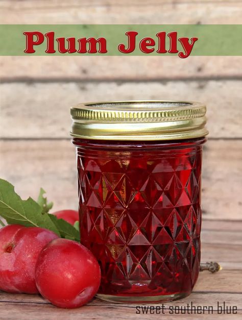 Plum Jelly Recipe, Food Calendar, Plum Juice, Jelly Sweet, Plum Recipes, Home Canning Recipes, Jam Recipes Homemade, Canning Jam, Homemade Jelly