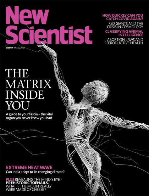 New Scientist - magazine cover. on Behance New Scientist Magazine Covers, Scientific Magazine, Classifying Animals, Animal Intelligence, Magazine Front Cover, Publishing Design, Graphic Design Editorial, The Mind's Eye, Science Magazine