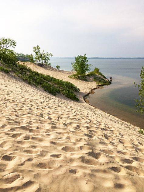 There's nowhere in Ontario like this. These dunes at Sandbanks Provincial Park reach up to 25 m high and the sand is like velvet to the feet. Find out what else to see and do Prince Edward County. Sandbanks Provincial Park, African Desert, Prince Edward County Ontario, Ontario Road Trip, Beach Caribbean, Ontario Travel, Canada Eh, Caribbean Beach, Canadian Travel