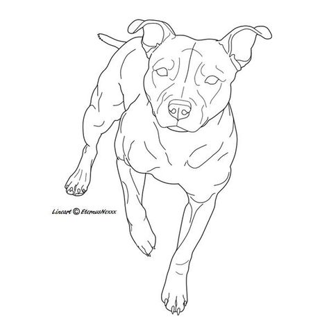 Pit Bull Drawing, Dog Outline Tattoo, Staffy Bull Terrier, Pitbull Drawing, Bull Terrier Tattoo, Dog Line Drawing, Bull Terrier Art, Staffy Dog, Dog Outline