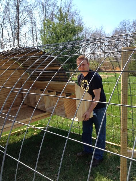 Chicken Tractor Diy Plans, Cattle Panel Chicken Tractor, Diy Hoop Chicken Coop, Diy Movable Chicken Run, Hoop Chicken Tractor, Movable Chicken Coop Diy, Diy Chicken Tractor Plans, Chicken Tractors Diy, Chicken Coop Hoop House