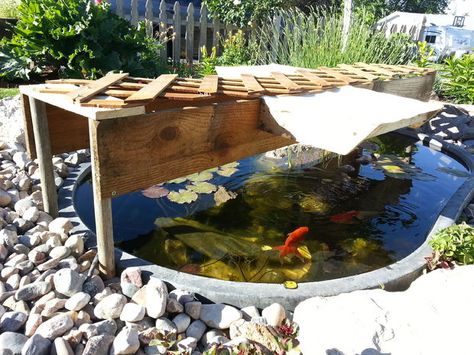 Pond Shade Cover Ideas, Pond Shade Ideas, Diy Pond, Small Pond, Diy Shades, Small Ponds, Ponds Backyard, Fish Pond, Garden Stuff