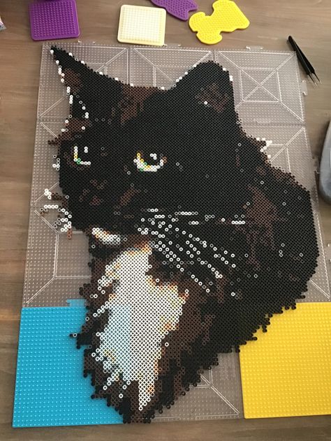 Large Pixel Art Grid, Black Cat Perler Bead Patterns, Cat Perler Beads, Warrior Cats Perler Beads, Cat Perler Bead Patterns, Tuxedo Cat Perler Beads, Calico Cat Perler Beads, Perler Bead Nyan Cat, Cat Cuddle