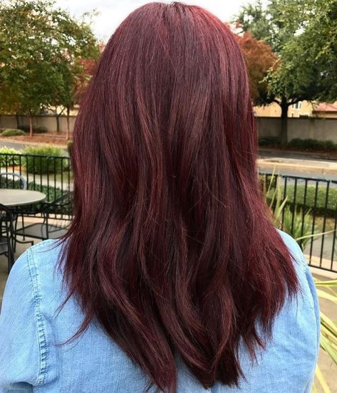 Sophisticated Burgundy Brown Hairstyle Outfits With Burgundy Hair, Burgundy Highlights On Dark Hair, Long Burgundy Hair, Burgundy Hair Colors, Burgundy Hairstyles, Short Burgundy Hair, Dark Burgundy Hair, Burgundy Shades, Burgundy Hair Color