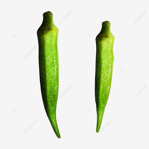 Lady Finger Vegetable, Vegetable Pictures, Background Green, Lady Fingers, Green Vegetables, Mixed Vegetables, Okra, Stuffed Green Peppers, Free Png