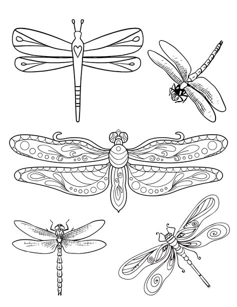 "Did you know that dragonflies can live underwater? They can also fly almost any direction including sideways and backwards. Dragonflies are fascinating insects that are known for their beauty, grace, and speed. These fast and flighty bugs inspire many and they are also the inspiration for our next set of coloring pages. Don't miss these fun dragonfly facts and print our free dragonfly coloring pages for kids and adults. Print them for your family to enjoy. " Dragonfly Coloring Pages, Dragonfly Facts, Paper Dragonflies, Bookshelf Makeover, Cotton Branches, Snowman Coloring Pages, Coloring Paper, Top Craft, Free Kids Coloring Pages