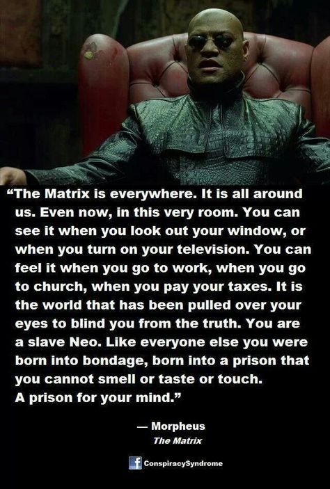 The Matrix is everywhere.. Matrix Quotes, The Matrix Movie, Matrix Reloaded, The Matrix, Infj, Movie Quotes, Popular Memes, Going To Work, Wisdom Quotes