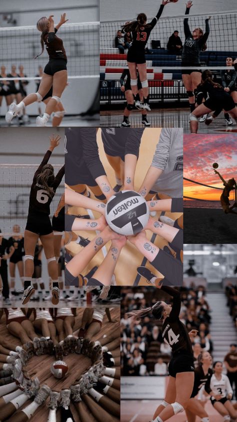 Volleyball Lockscreen, Volleyball Themed Room, Volleyball Wallpaper Aesthetic, Volleyball Aesthetic Wallpaper, Volleyball Collage, Inspirational Volleyball Quotes, Volleyball Images, Volleyball Backgrounds, Volleyball Motivation