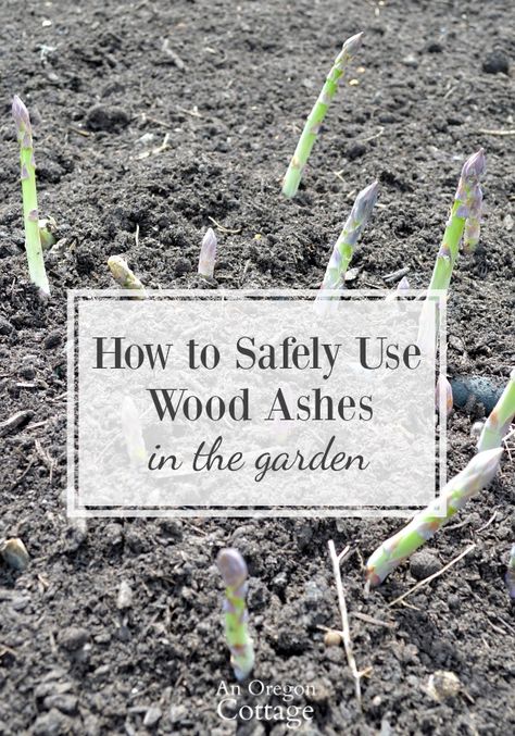 How to Safely Use Wood Ashes in the Garden with tips and precautions. Ashes can be a good thing, but too much is not. #gardening #organic Backyard Garden Layout, Backyard Garden Landscape, Wood Ash, Survival Gardening, Garden Compost, Growing Roses, Unique Gardens, Garden Tips, Outdoor Wood