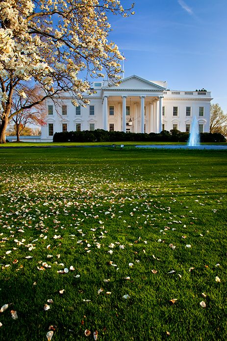 The White House, Washington, DC White House America, White House Dc, White House Usa, Underground Culture, White House Washington Dc, Usa Photography, Dc Travel, Modern Fence, Fence Ideas