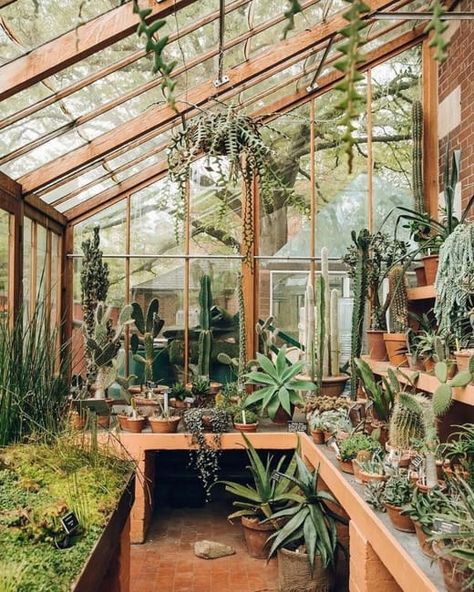 Multifunctional Greenhouses, Inspiring Green Design Ideas for Your Beautiful Garden Diy Small Greenhouse, Best Greenhouse, Lots Of Plants, Build A Greenhouse, Indoor Greenhouse, Greenhouse Interiors, Home Greenhouse, Greenhouse Effect, Backyard Greenhouse