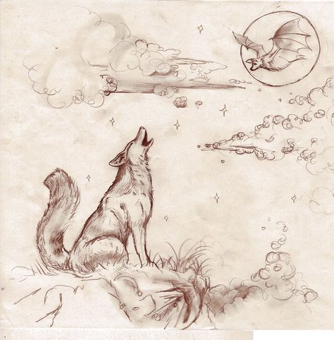 WIP Coyote and the Bat by pegacorna2.deviantart.com on @deviantART Simple Coyote Tattoo, Coyote Art Drawing, Coyote Drawing Sketch, Coyote Illustration Art, Coyote Anatomy, Wolf Dog Puppy, Coyote Drawing, Coyote Tattoo, Cute Drawings Of Love