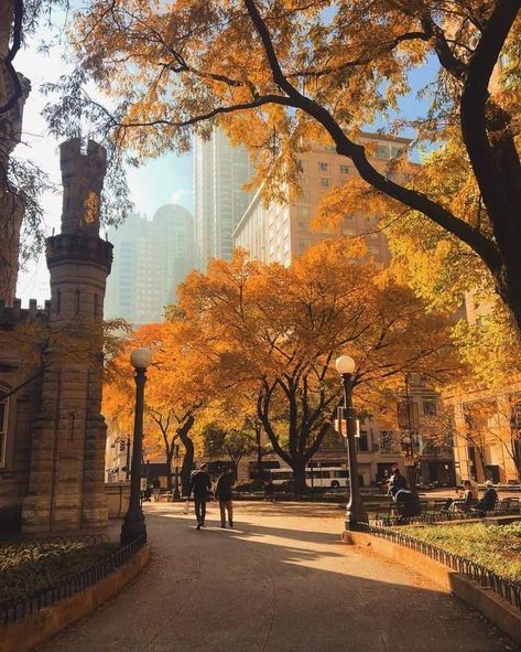 Autumn City, Autumn In New York, Fall Mood, Aesthetic Autumn, Wallpaper Halloween, Fotografi Alam Semula Jadi, Autumn Scenery, Fall Feels, Best Seasons