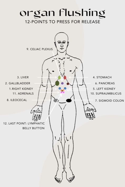 Organ Flushing: Why You Should Try It - The Living Well Organ Flushing, Lymph Massage, Picture Description, Acupressure Points, Natural Health Remedies, Alternative Health, The Human Body, Reflexology, Health Info