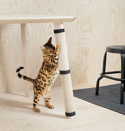 IKEA Just Launched A Pet Furniture Collection, And Animal Lovers Want It All Ikea Cat, Pet Furniture Dog, Ikea New, Boa Constrictor, Hacks Ikea, Swedish Furniture, Cat Scratchers, Ikea Hackers, Kitten Care