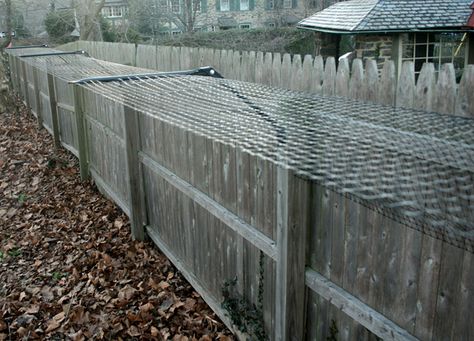 dog fence ideas | Fence Dog Extension Dog Proof Fence, Katt Hus, Kennel Ideas Outdoor, Cheap Dog Kennels, Husky Puppies For Sale, Cat Playpen, Enclosure Ideas, Cat Fence, Outdoor Cat Enclosure