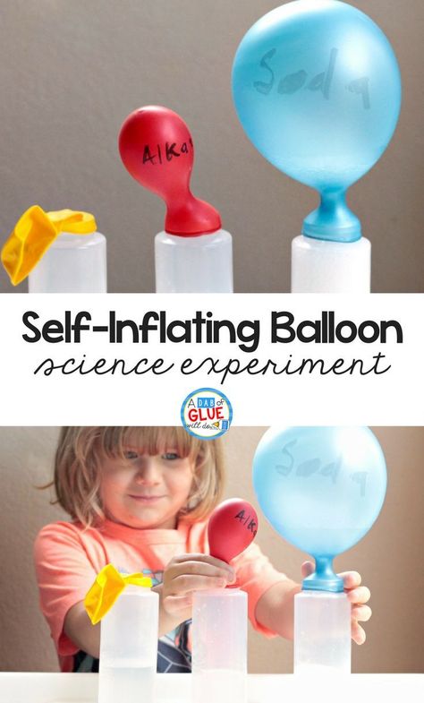 Science is all about testing, re-testing, searching, exploring, and playing. I'm almost convinced most scientists are kids who never quite grew up! Try this Self-Inflating Balloon Science Experiment with your kids today! Balloon Science Experiments, Balloon Experiment, First Grade Science, Primary Science, Science Experiments For Kids, Experiments Kids, Kid Experiments, Easy Science Experiments, Experiments For Kids