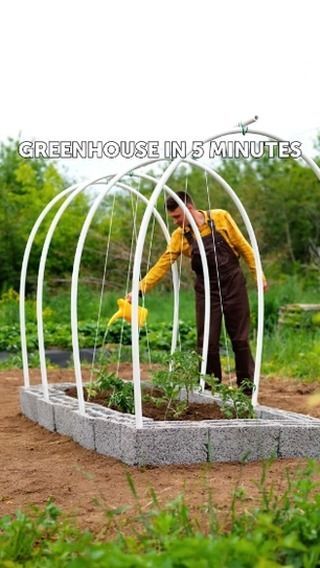 5-Minute Green on Instagram: "A DIY greenhouse base that is cheap and easy to build 😉 ⠀ ⠀ #diygreenhouse #greenhouse #plantlover #plantstagram #5mingreen  #gardeningtips #gardeninglove #diyproject#growyourown #gardeninglife #plantlover #plantstagram #pvcpipes" Diy Greenhouse Cheap, Greenhouse Base, Simple Greenhouse, Outdoor Greenhouse, Diy Greenhouse, Diy Simple, Outdoor Gardens Design, Greenhouse Gardening, Garden Yard Ideas