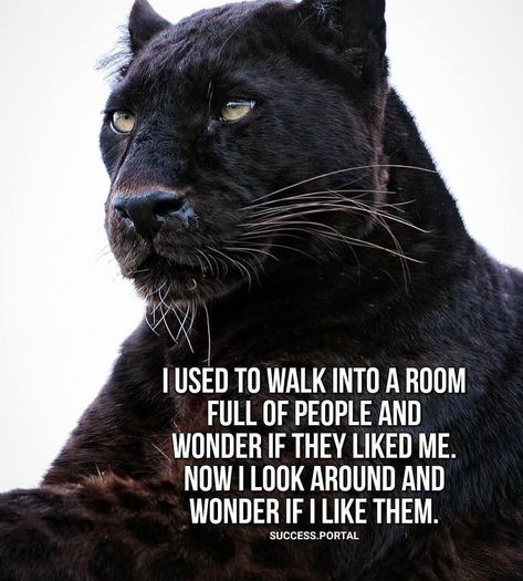 I used to walk into a room full of people and wonder if they liked me. Now I look around and wonder if I like them. 🤷 - ⤵ Follow us:… Panther Quotes, Nicola Tesla, Now Quotes, Look At Me Now, Jack Ma, Millionaire Quotes, Warrior Quotes, Strong Quotes, Bill Gates