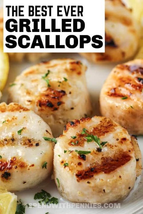 This Grilled Scallops recipe is so easy to make, and only uses 5 simple ingredients. These juicy, tender scallops are ready in under 10 minutes! #spendwithpennies #grilledscallops #recipe #appetizer #seafood #grill #howtogrillscallops #bestgrilledscallops #easygrilledscallops #recipesskewers Bbq Scallops Recipes, Grilled Scallops Skewers, Grilled Scallop Recipes, Scallops On The Grill, Bbq Scallops, Grilled Scallops Recipe, Grilled Sea Scallops, Scallops Recipes, Easy Scallop Recipes