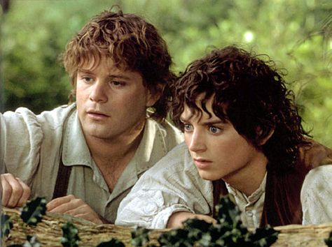 Best Friend Relationship, Lotr Cast, Samwise Gamgee, Frodo Baggins, Elijah Wood, Fellowship Of The Ring, The Lord Of The Rings, Middle Earth, The Rings