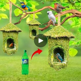 At Home Garden, Garden Decor Ideas, Home Garden Decor, Bird Nest, Plastic Bottle, House Made, Green Gold, Plastic Bottles, Bird House